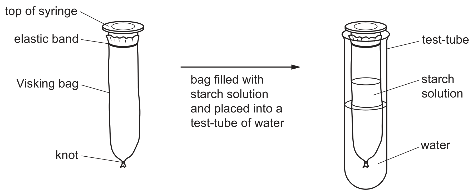 Fig. 4.1