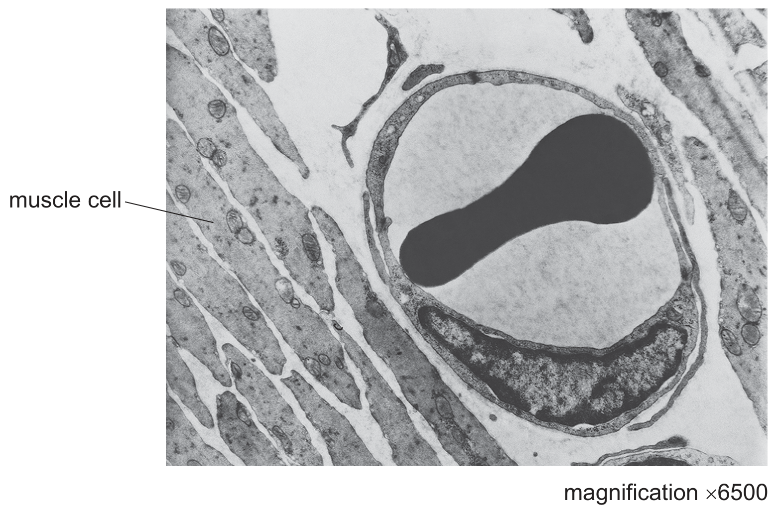 Fig. 4.2