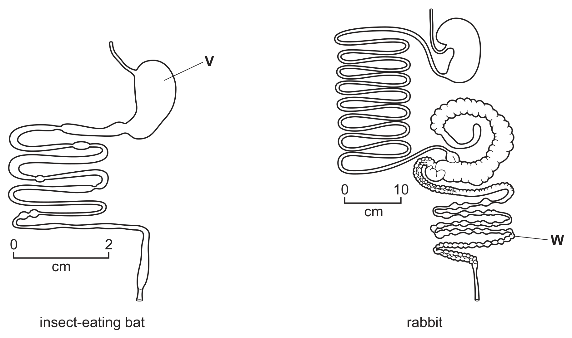 Fig. 6.1