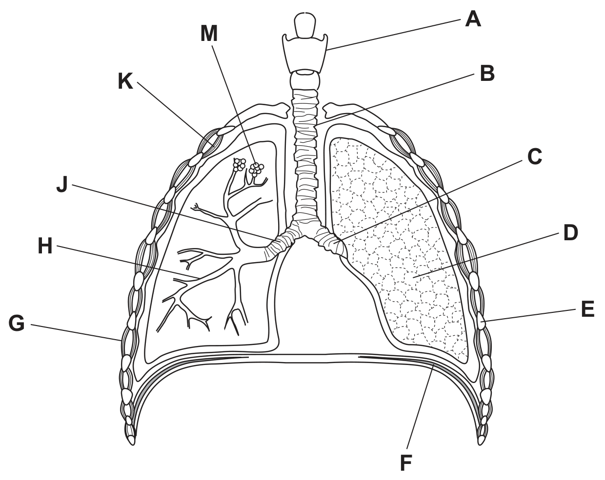 Fig. 1.1