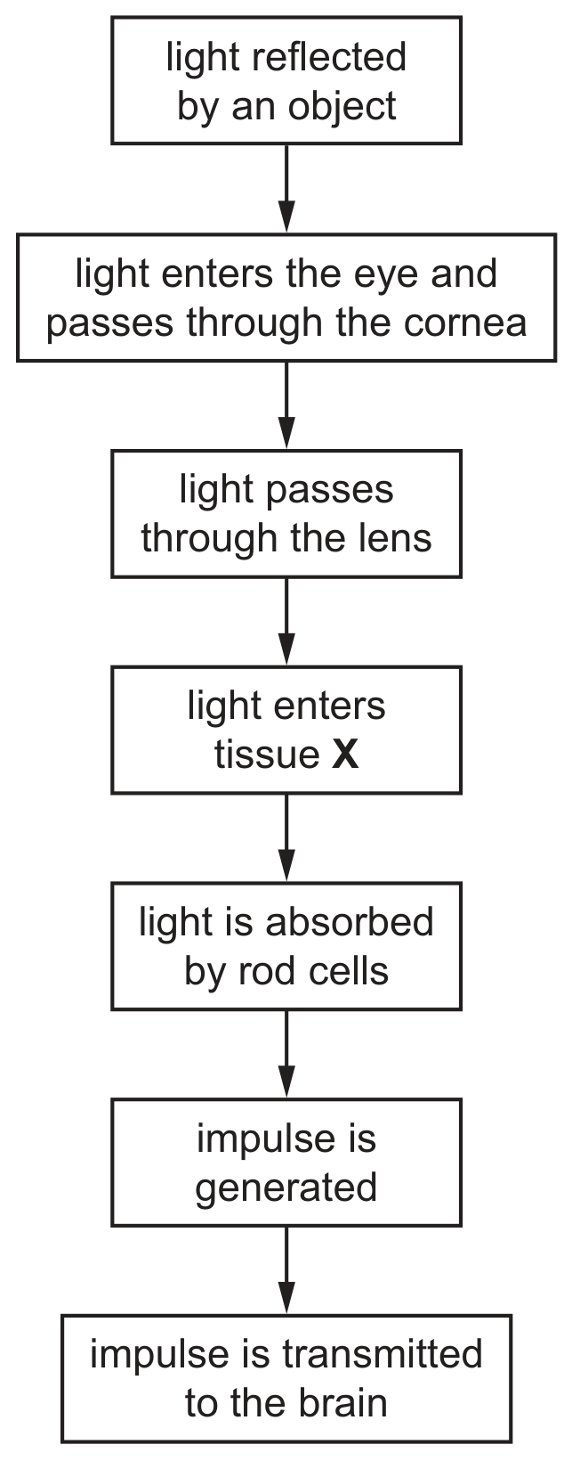 Fig. 2.1