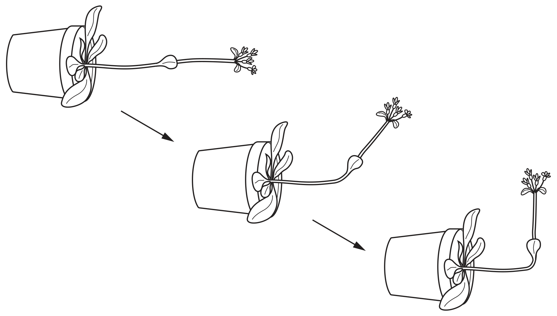 Fig. 2.2