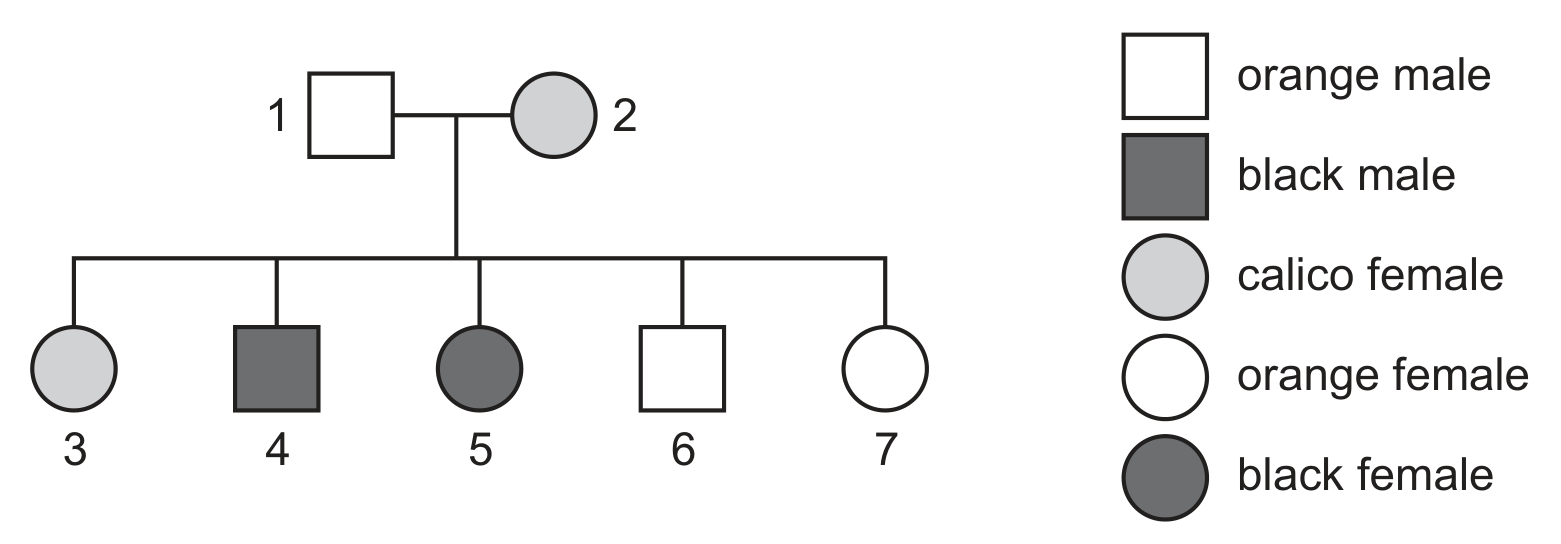 Fig. 3.1