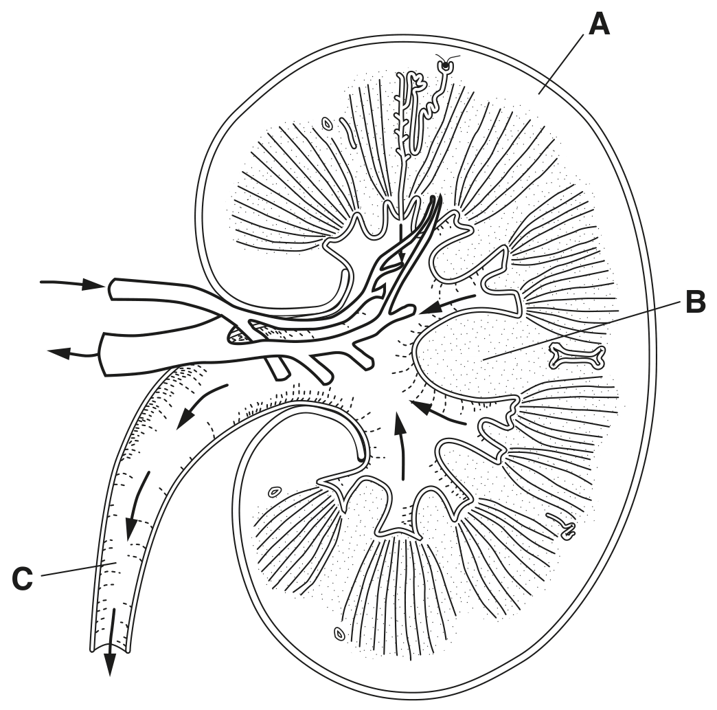 Fig. 3.1