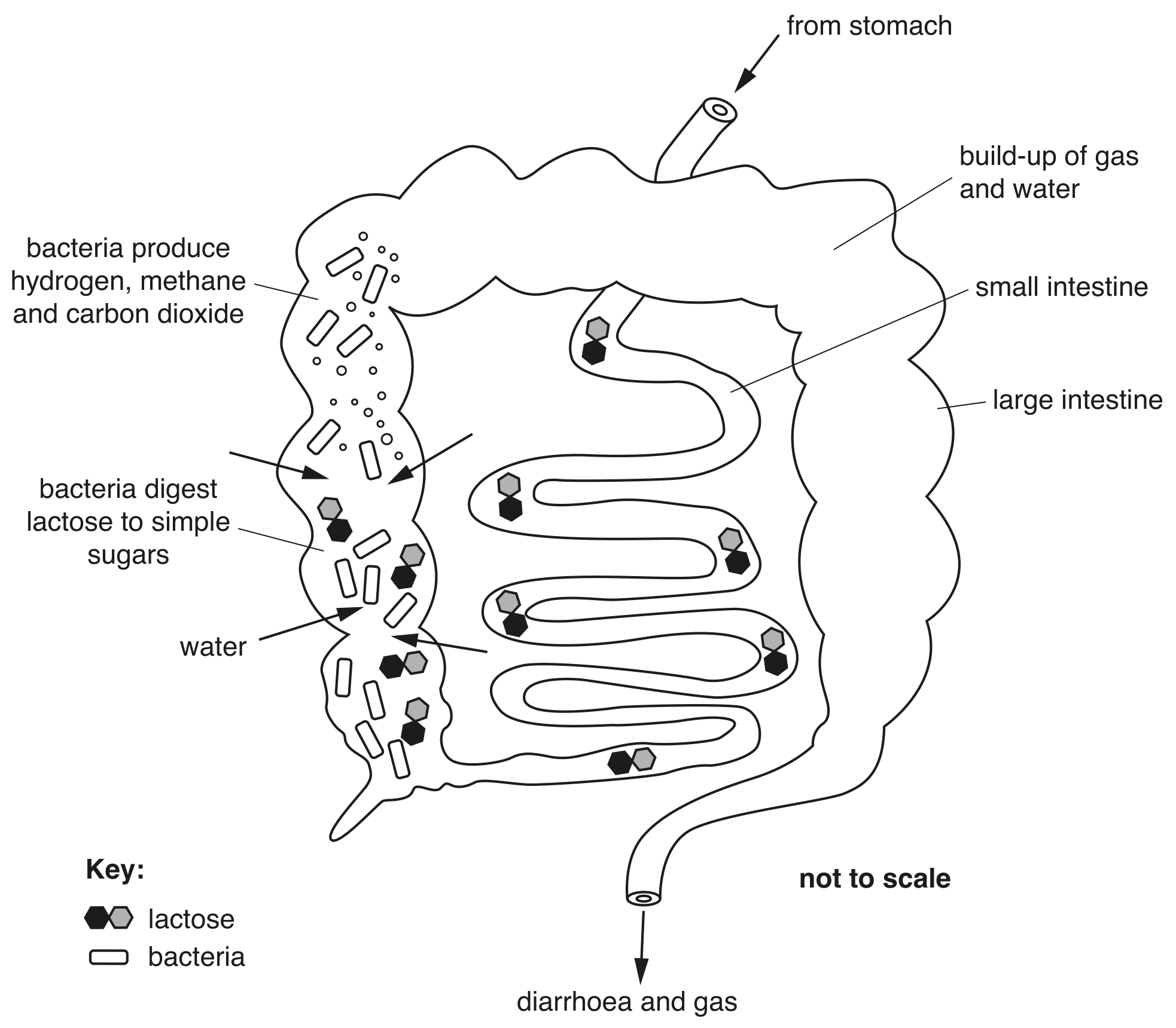 Fig. 1.1