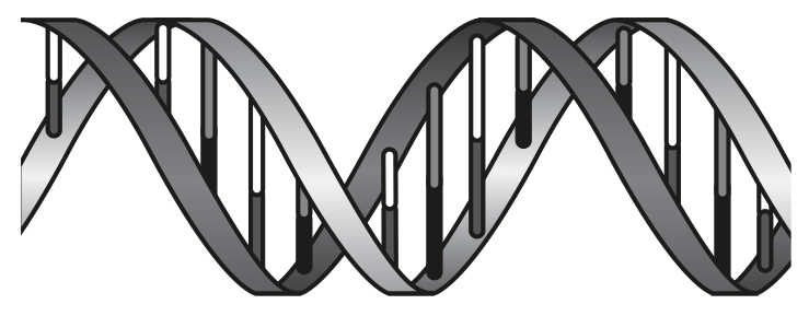 Fig. 2.1