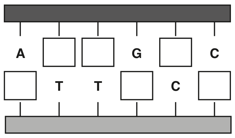 Fig. 2.2