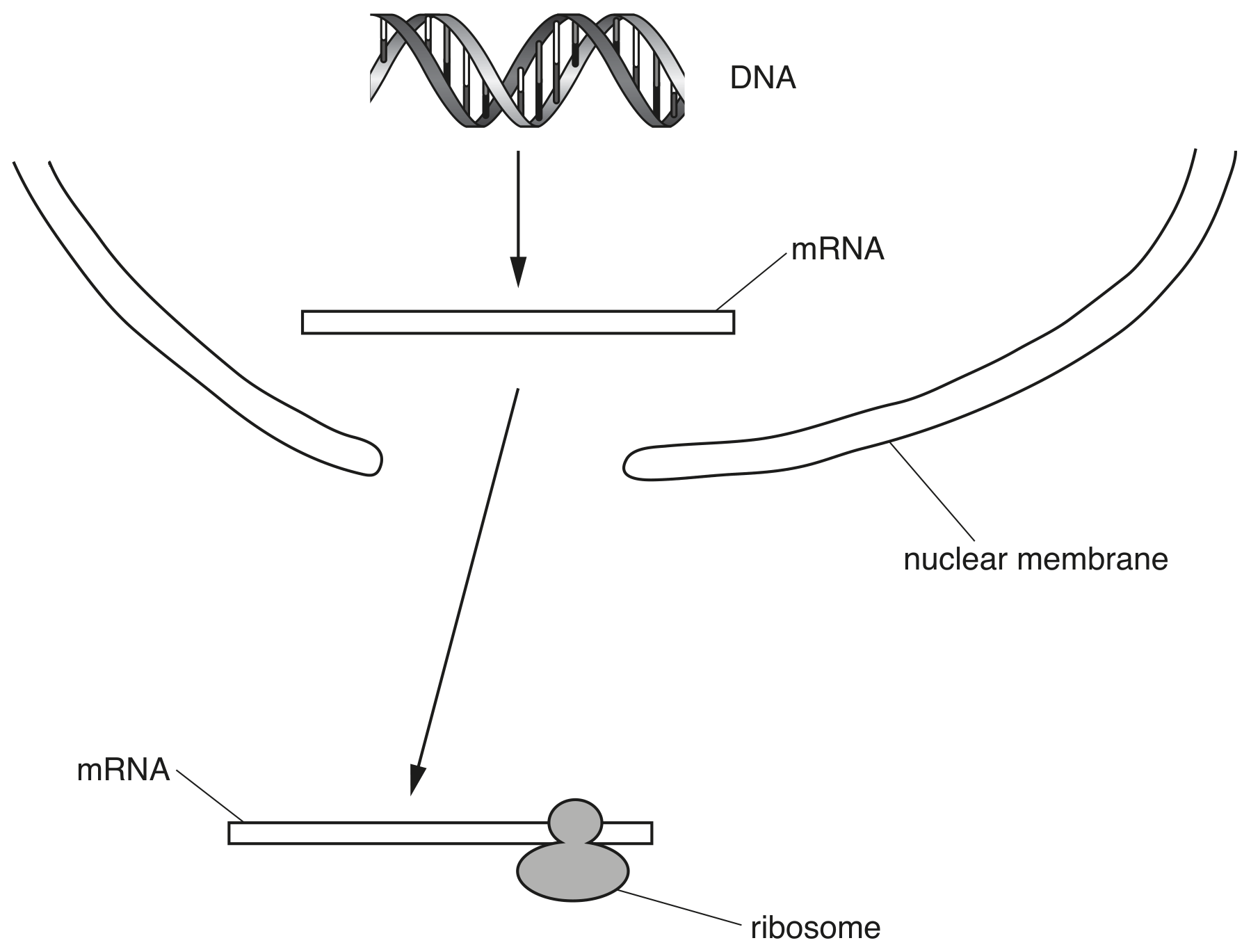 Fig. 2.3 not to scale