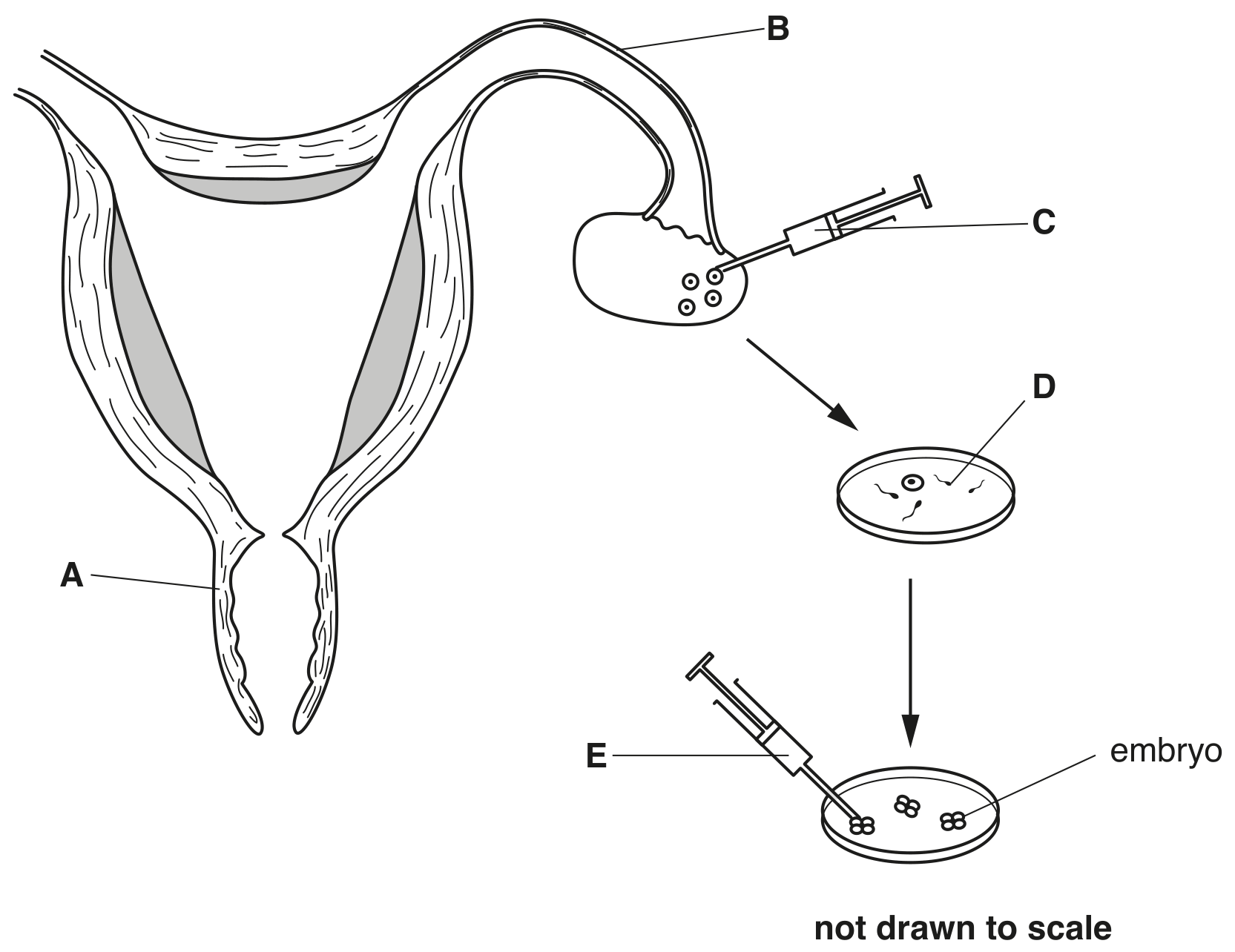 Fig. 1.1