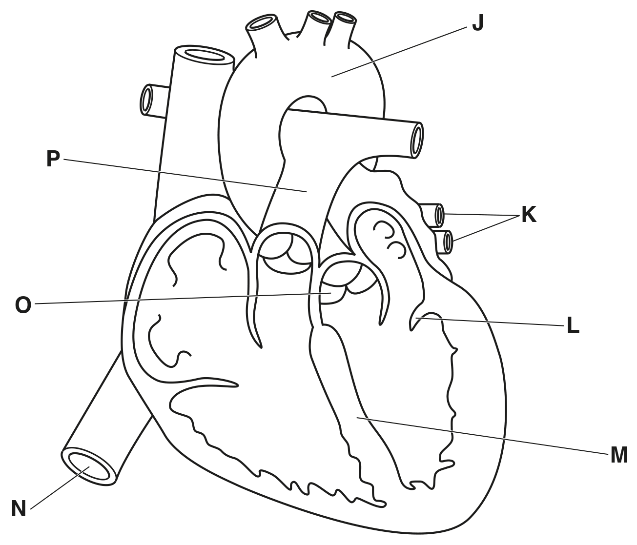 Fig. 1.1