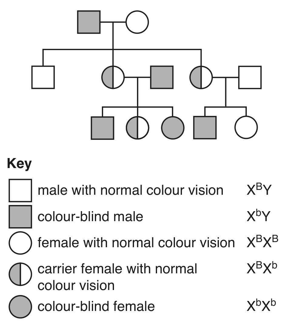 Fig. 3.2