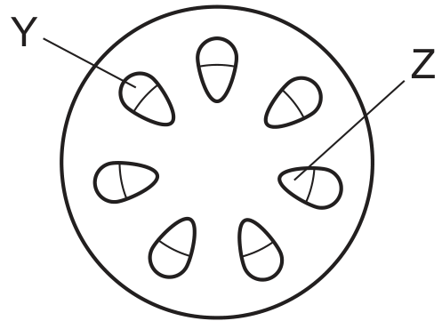 stem