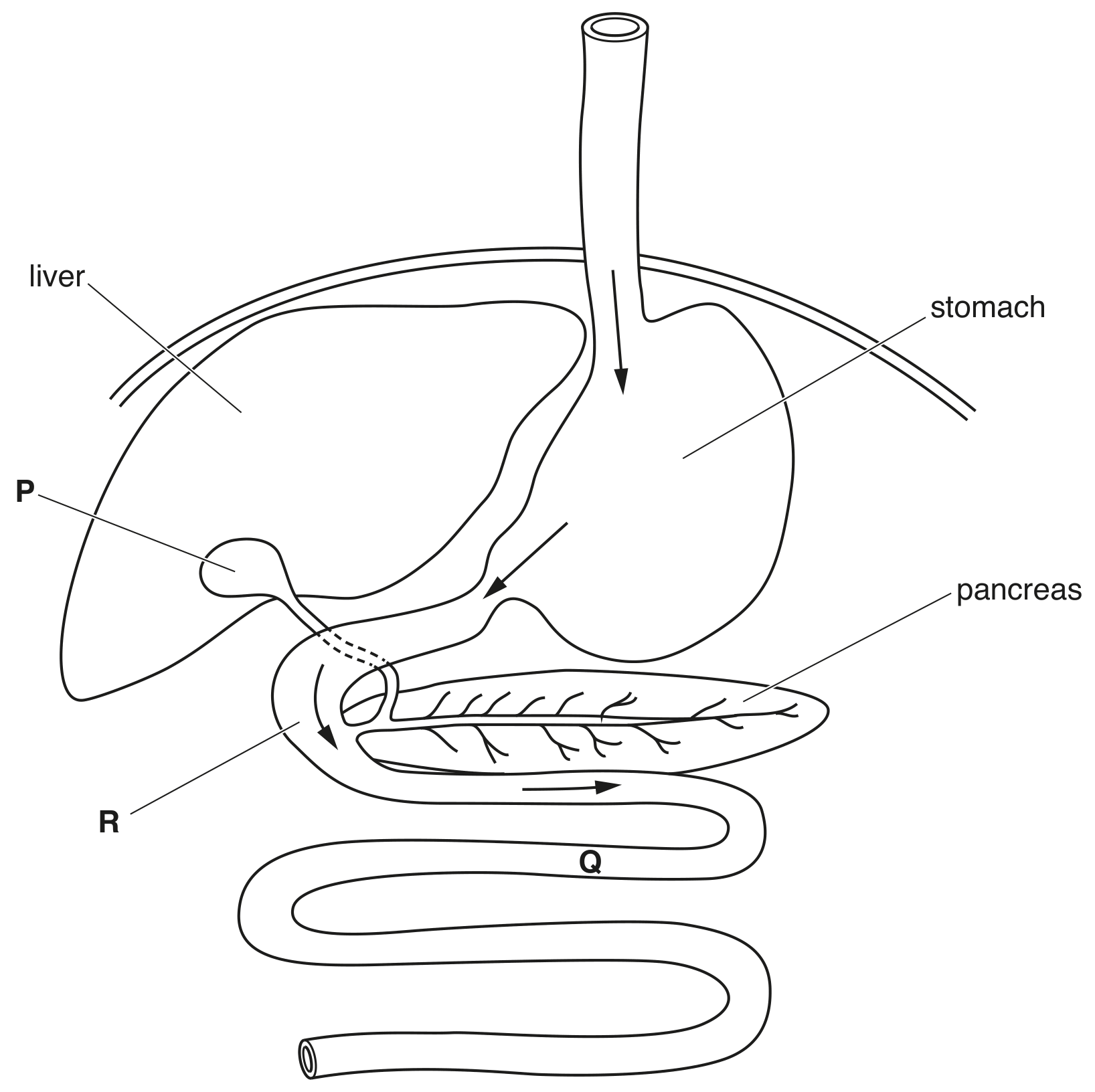 Fig. 1.1