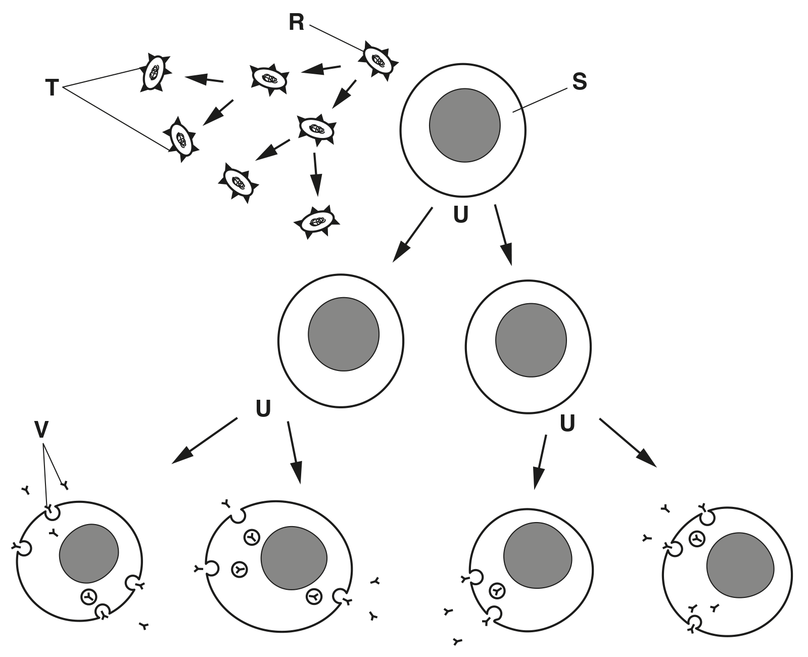 Fig. 6.1