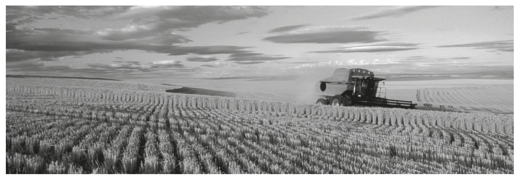 Fig. 1.1 shows a monoculture of wheat.
