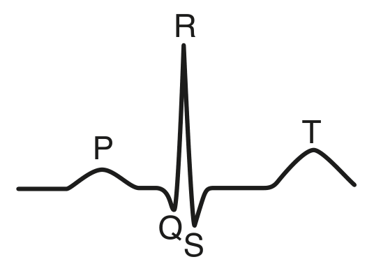 Fig. 3.1