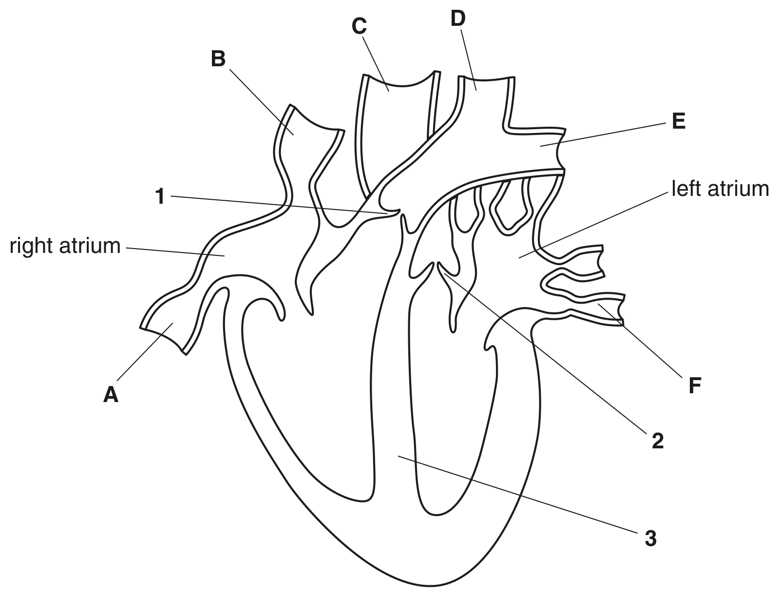 Fig. 1.1