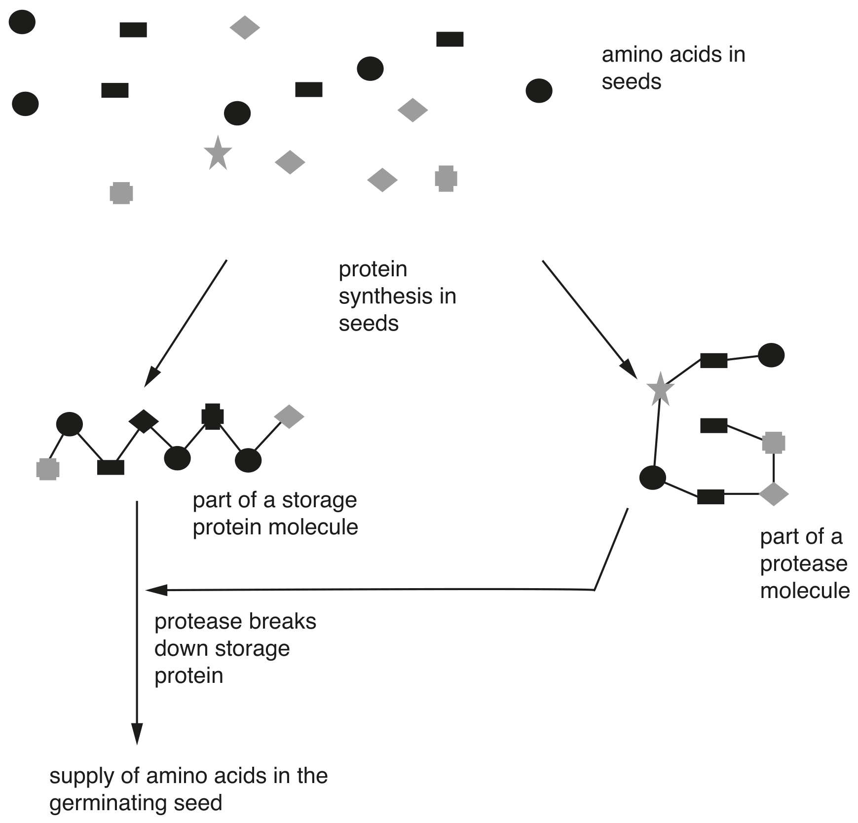 Fig. 2.1