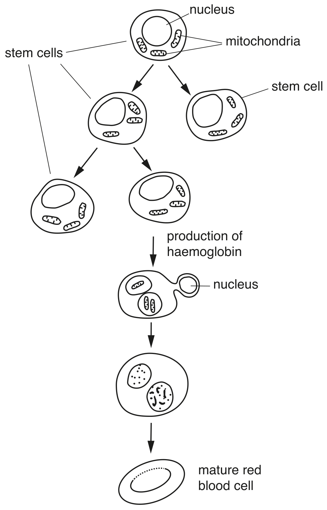 Fig. 3.1