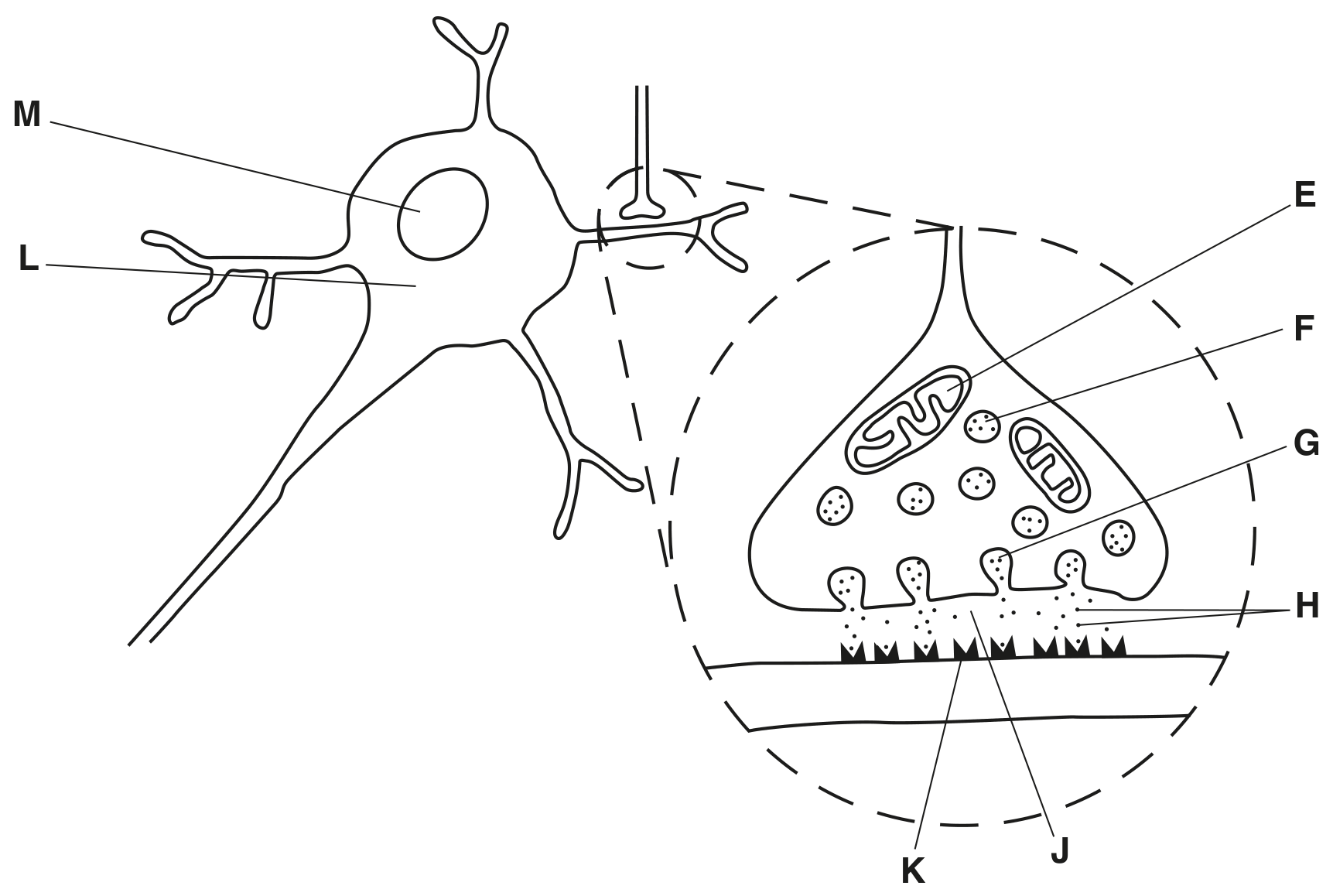 Fig. 4.1