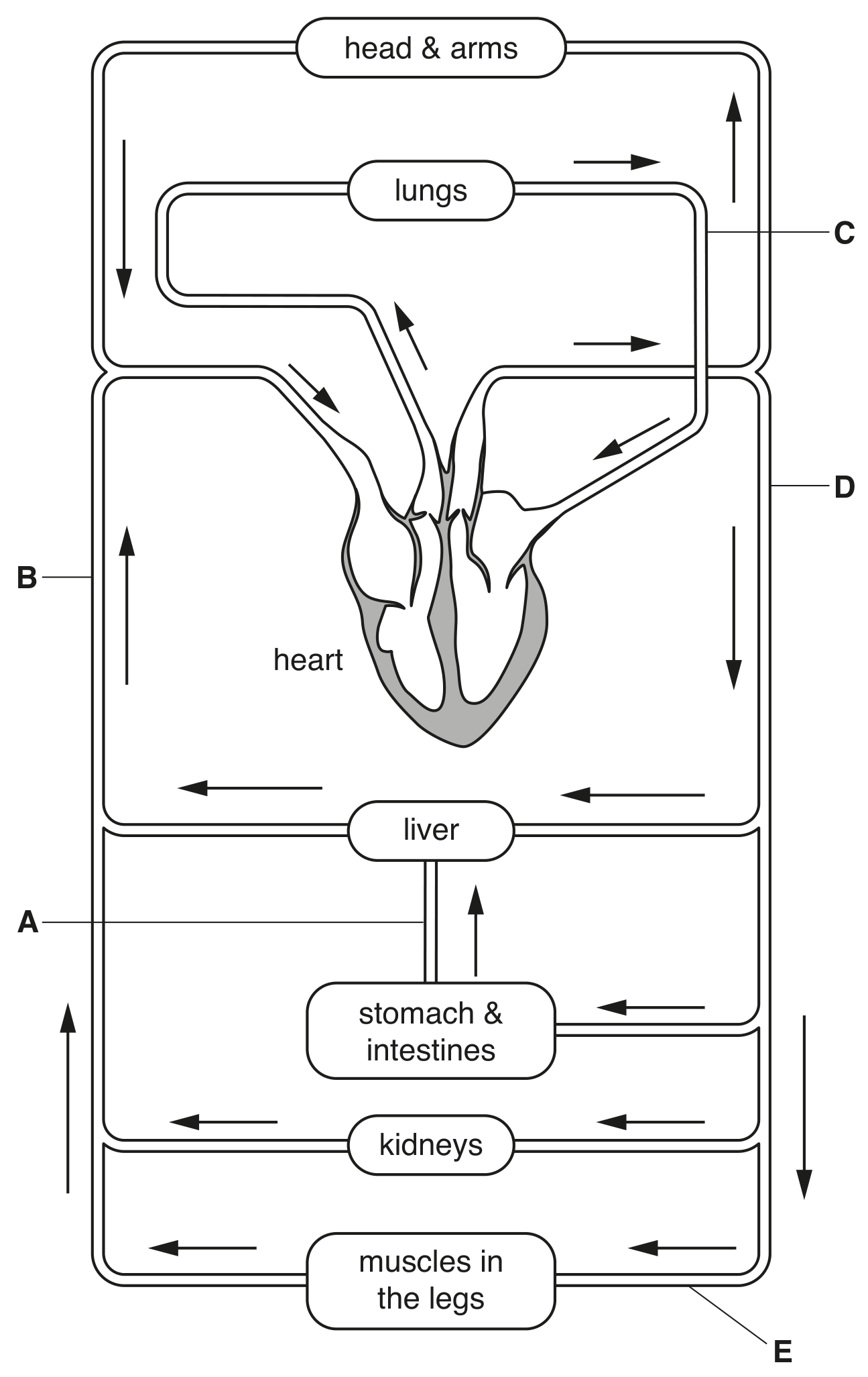 Fig. 6.1