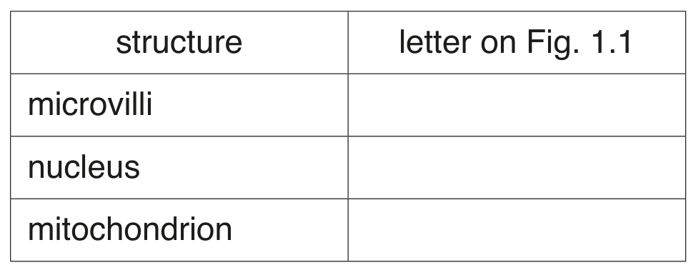 Table
