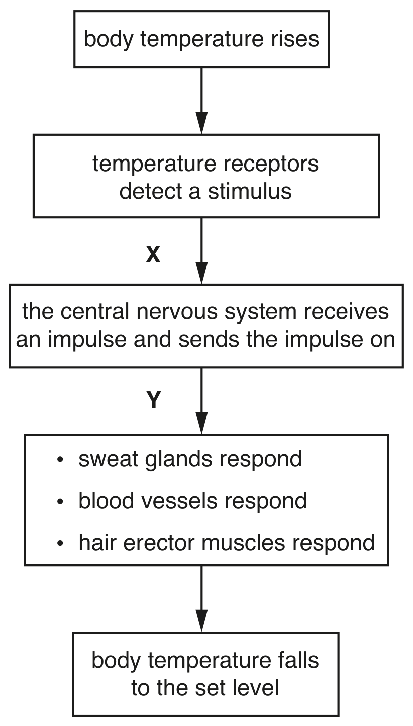 Fig. 6.1
