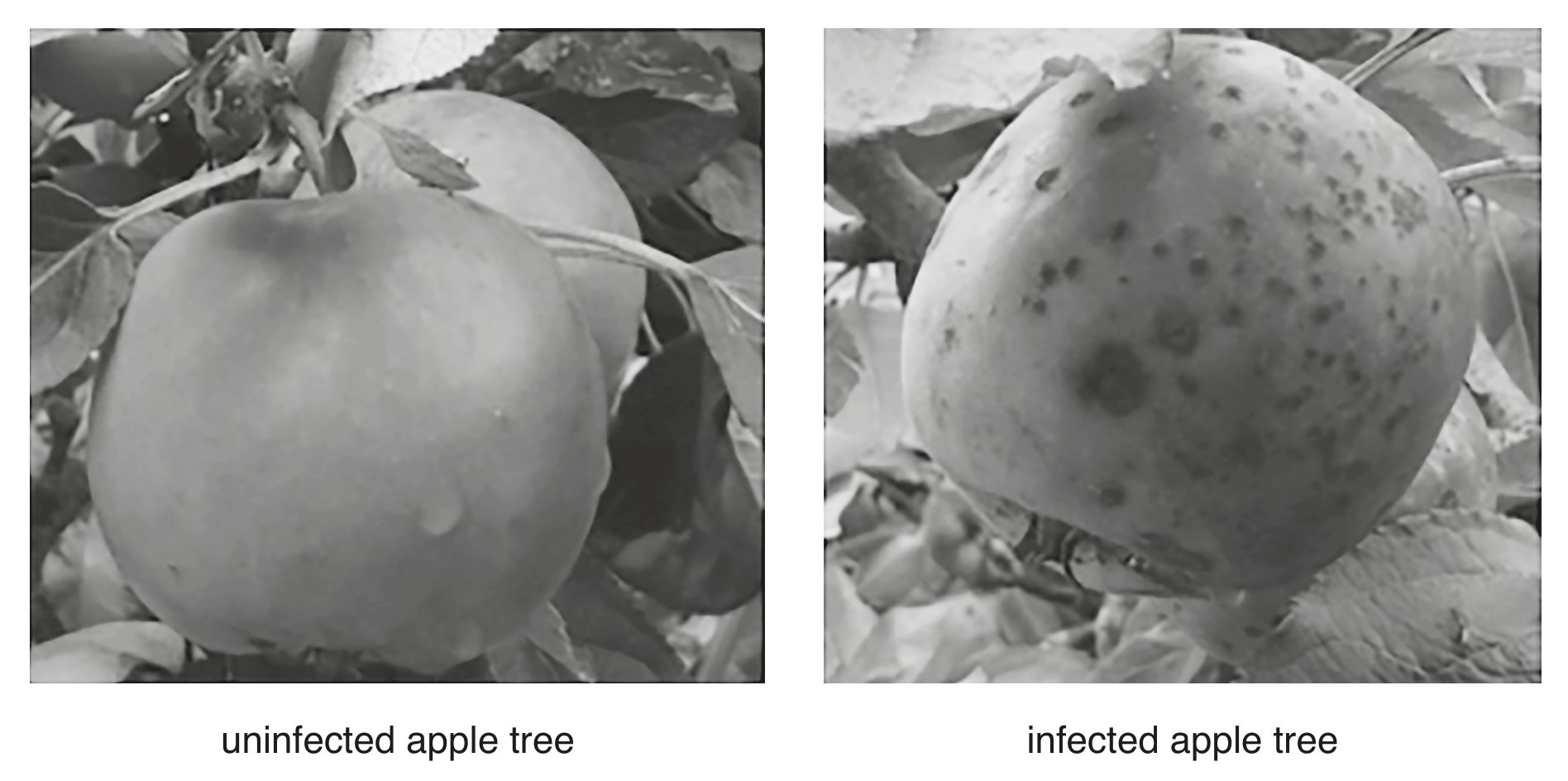 Fig. 3.1