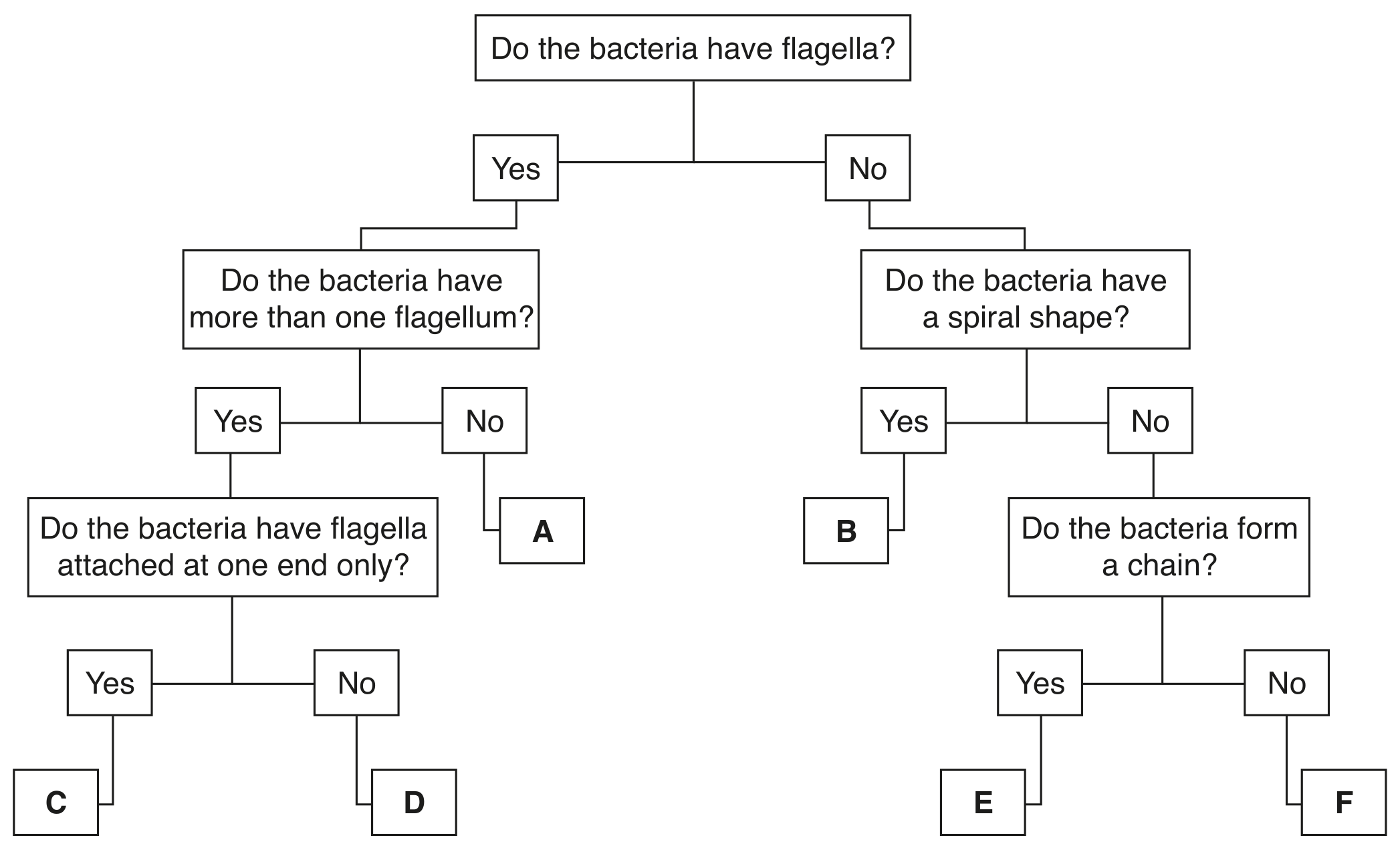 Fig. 1.1