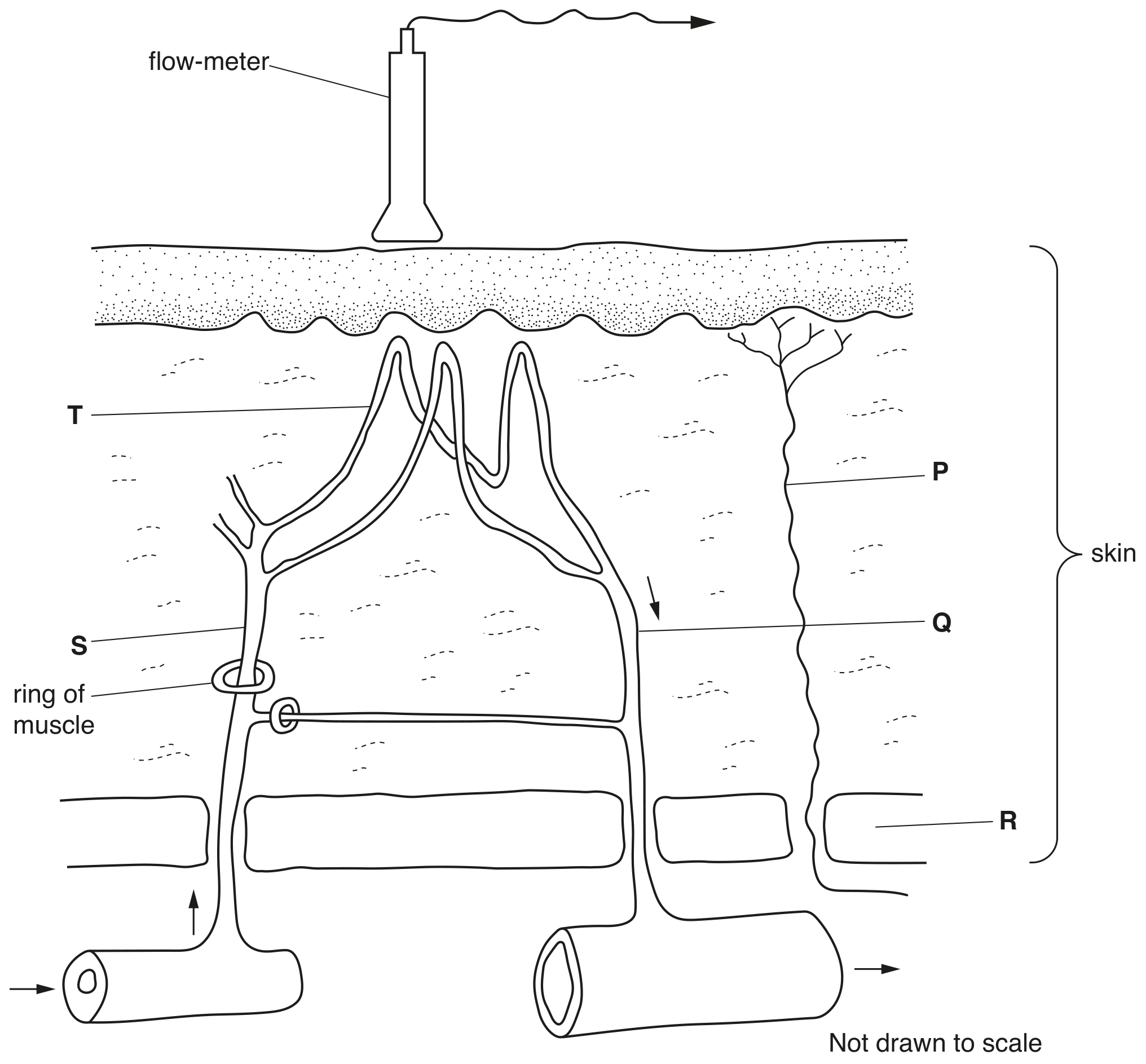 Fig. 4.1