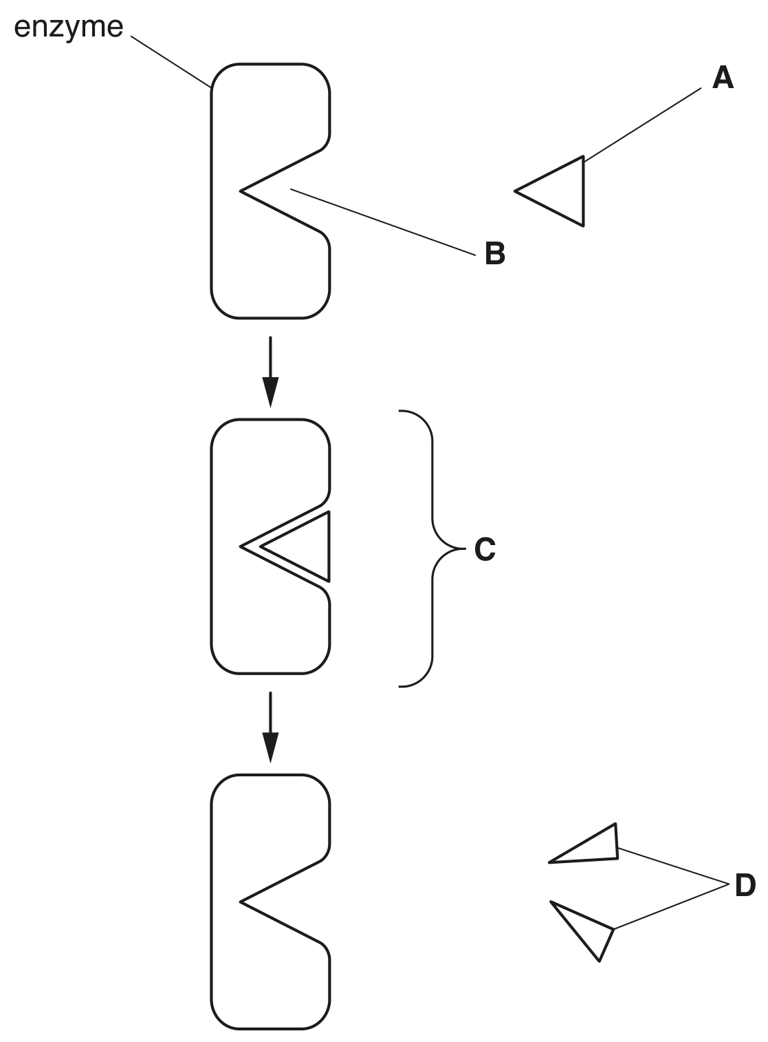 Fig. 1.1