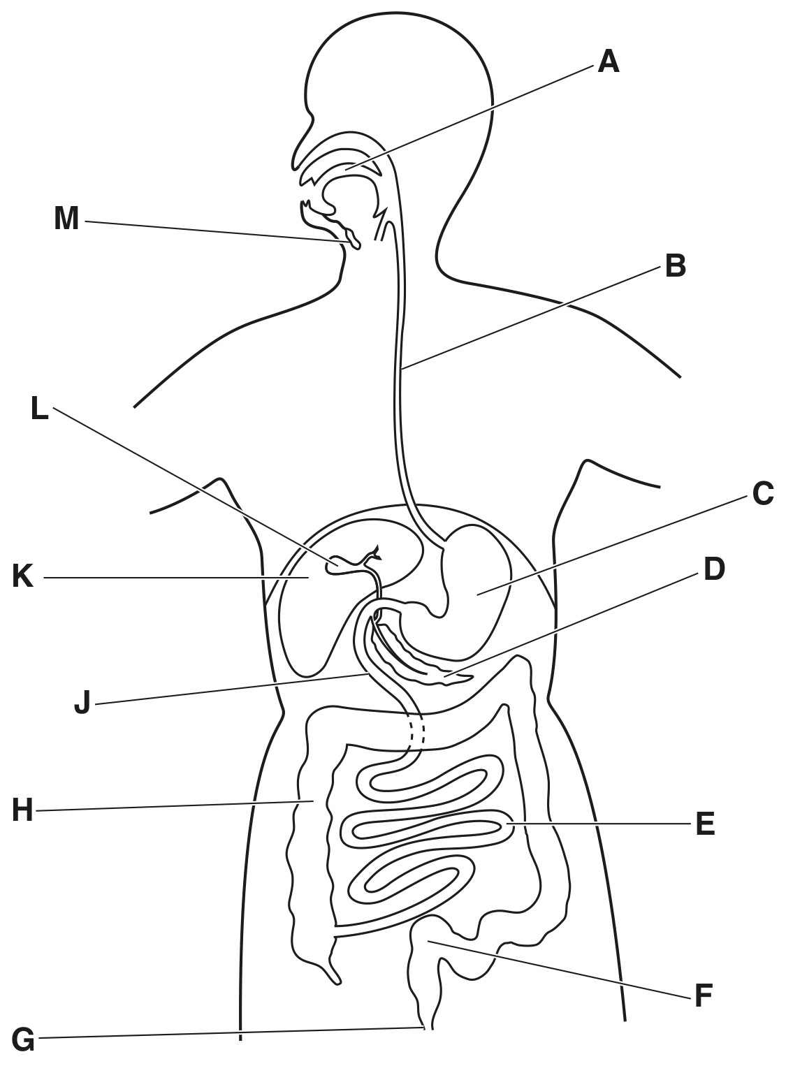 Fig. 1.2