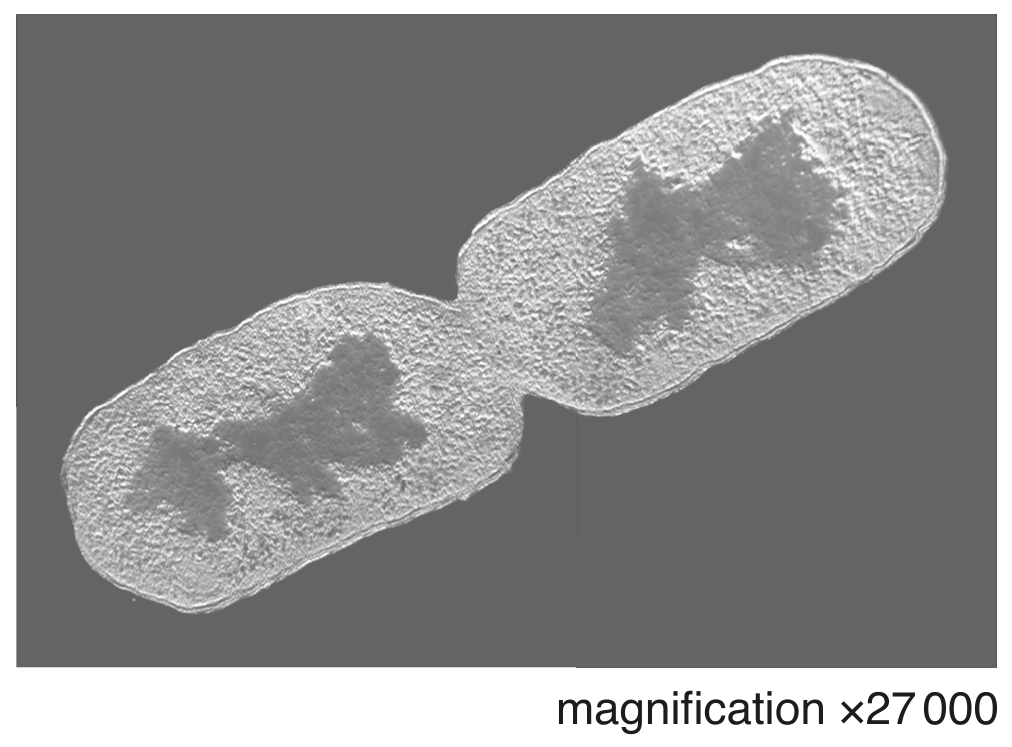 Fig. 6.1