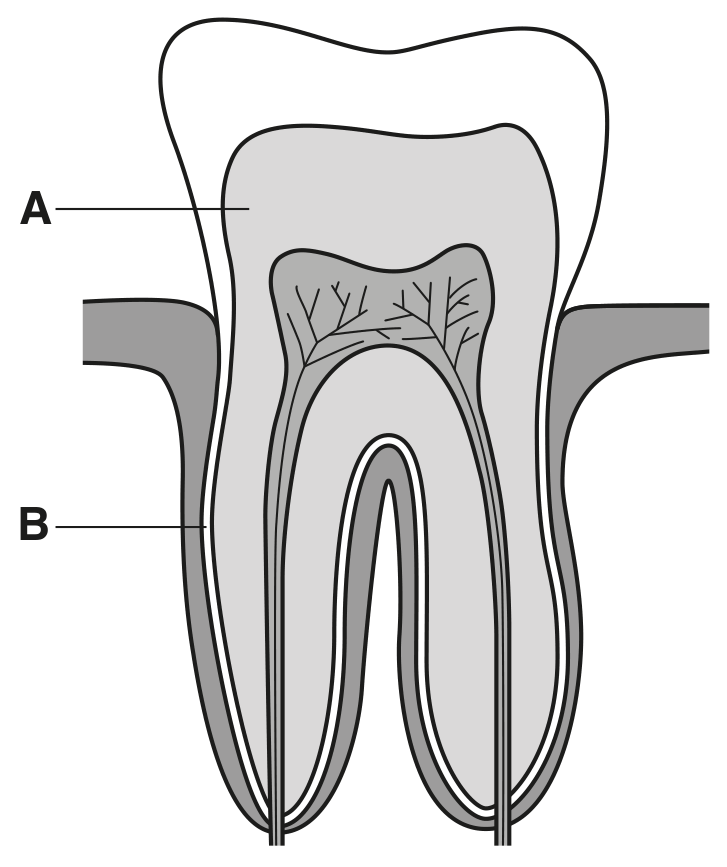 Fig. 1.1