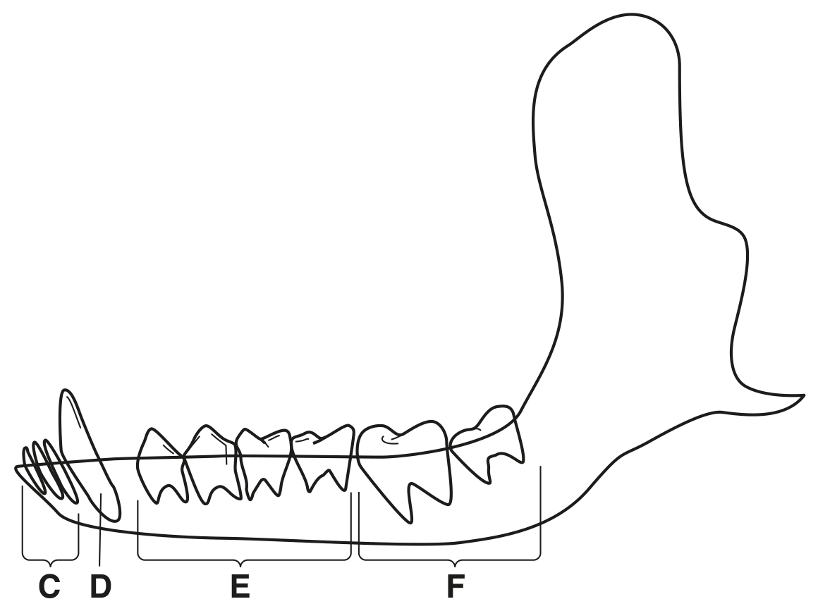 Fig. 1.2
