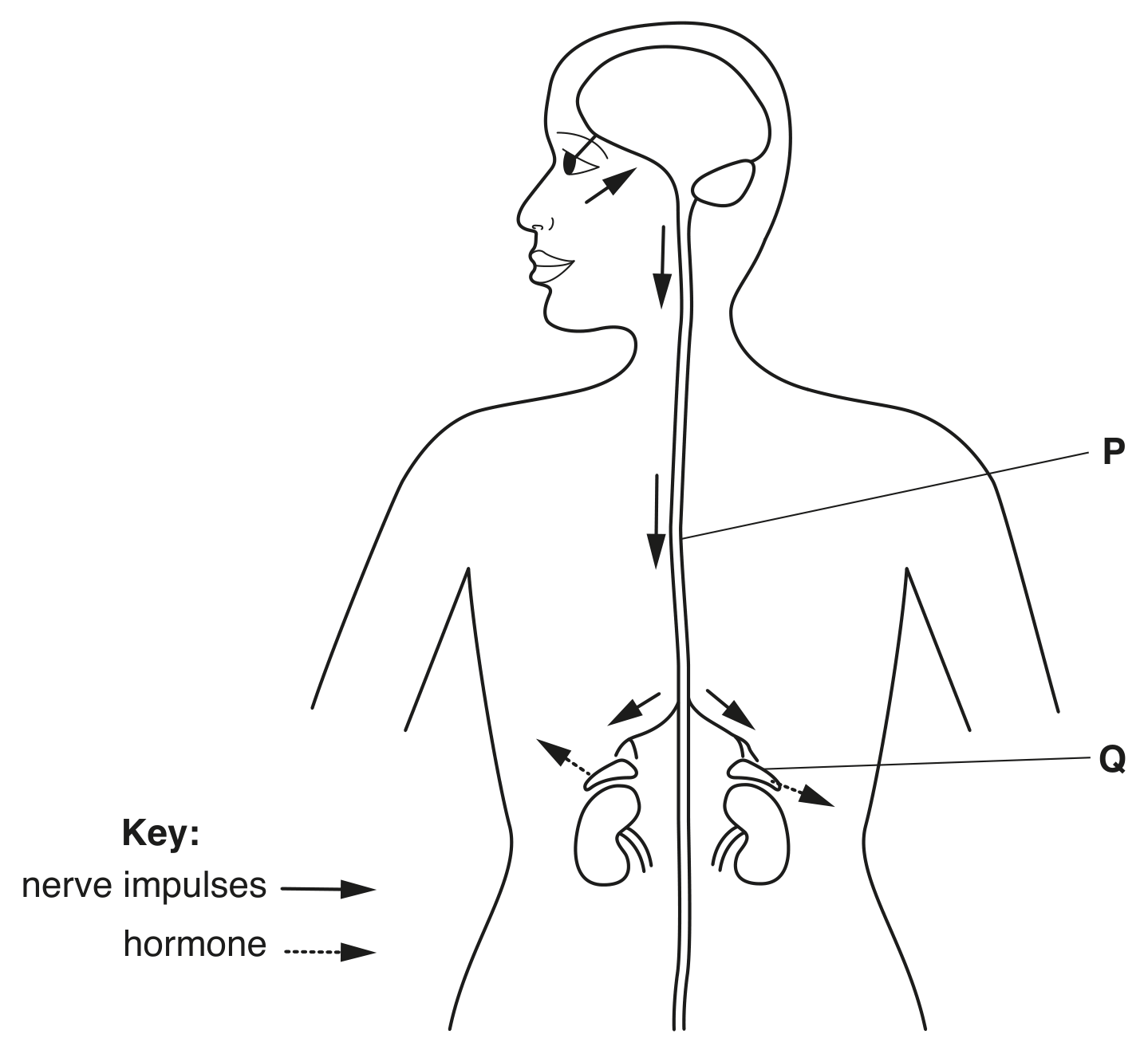 Fig. 4.1