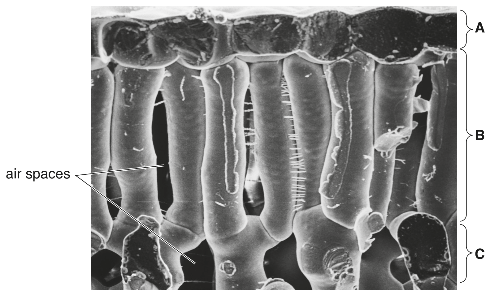 Fig. 3.1