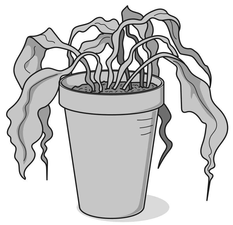 Fig. 3.2
