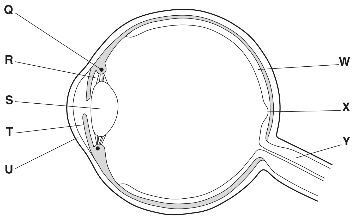 Fig. 4.1