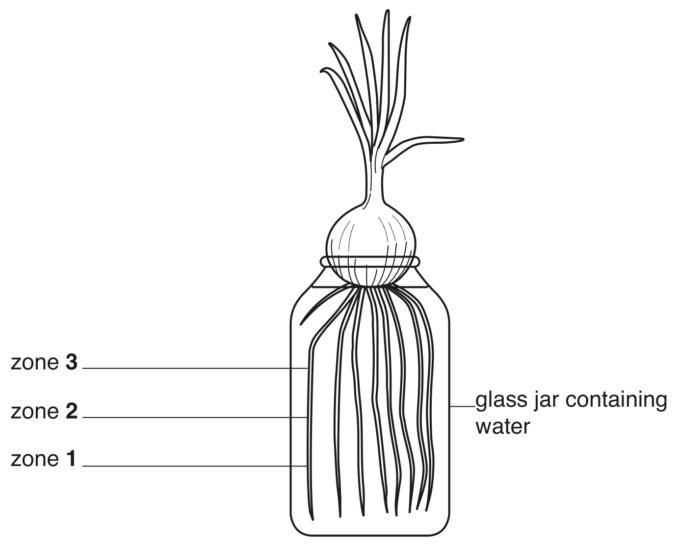 Fig. 3.2