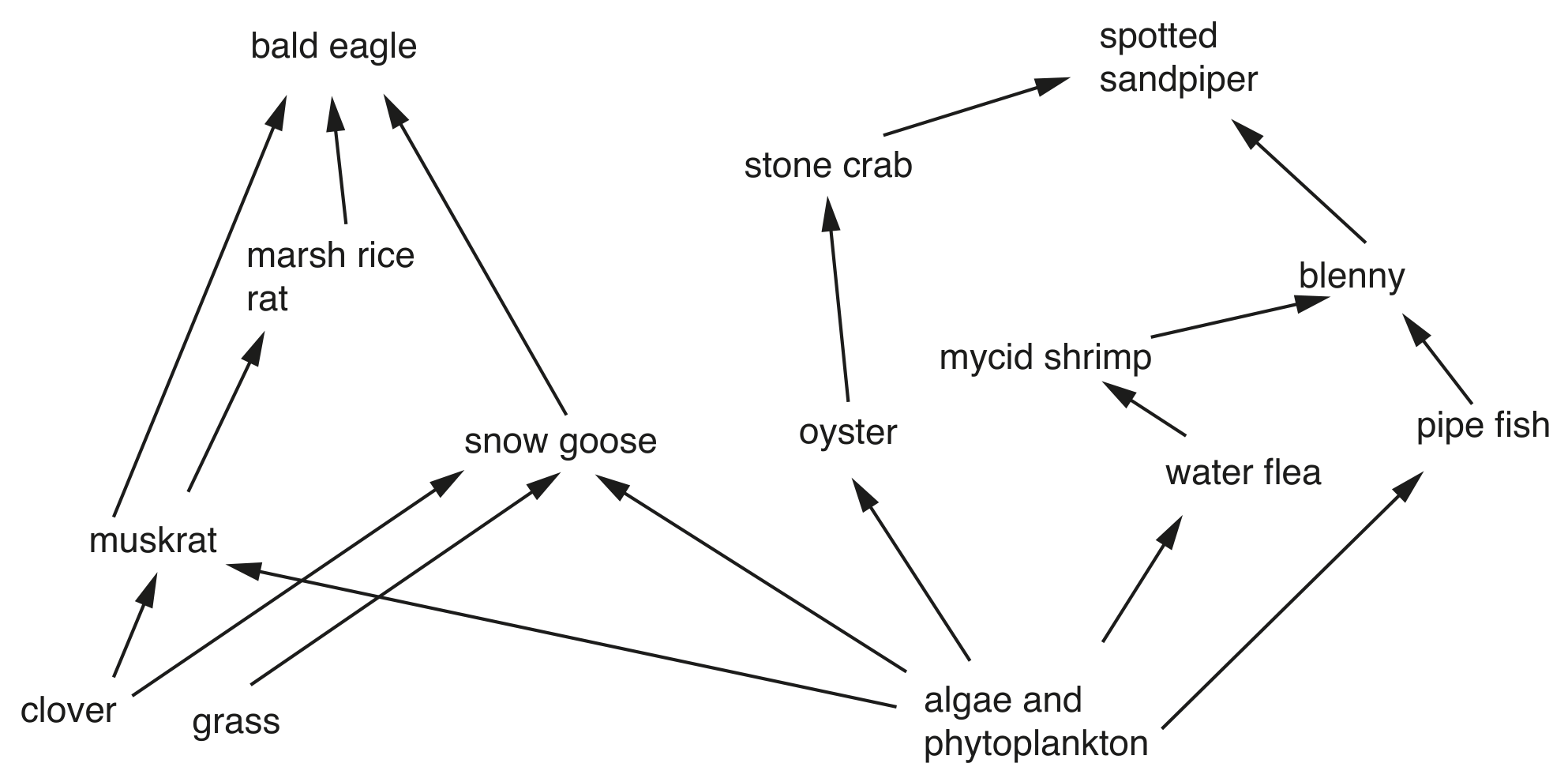 Fig. 1.1