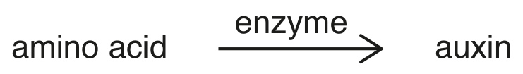 Fig. 2.2