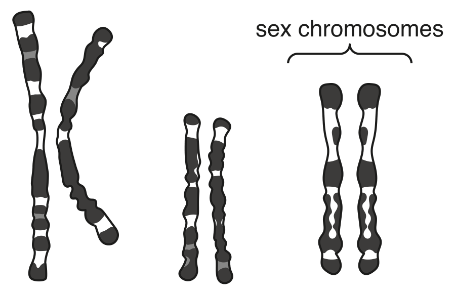Fig. 2.1