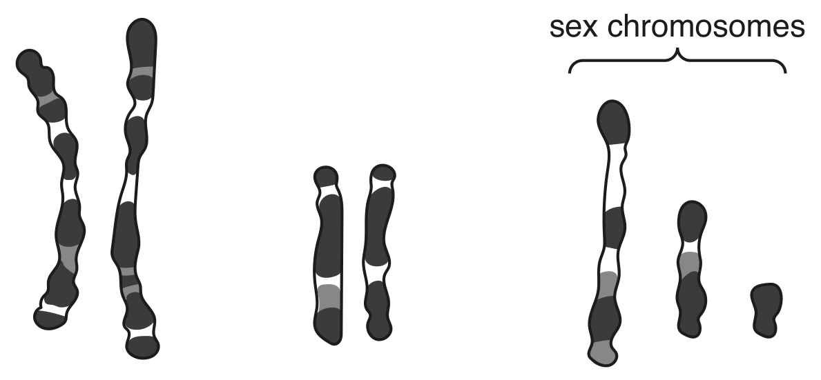 Fig. 2.2