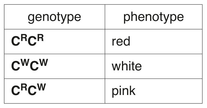 Table 2.1