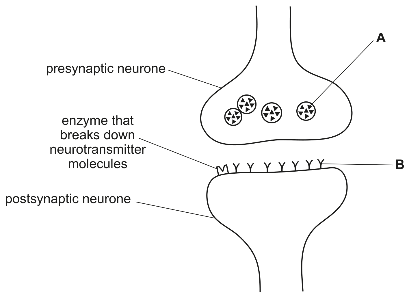 Fig. 3.1