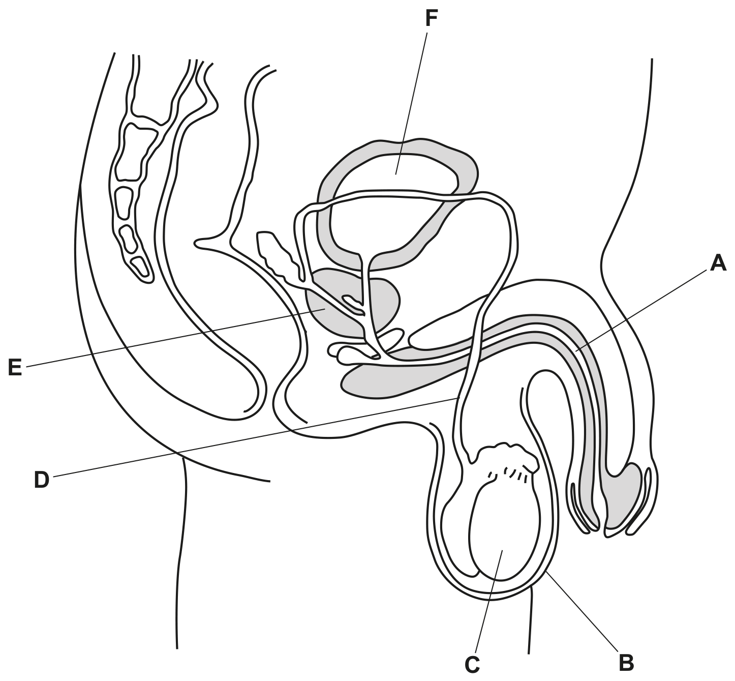 Fig. 4.1