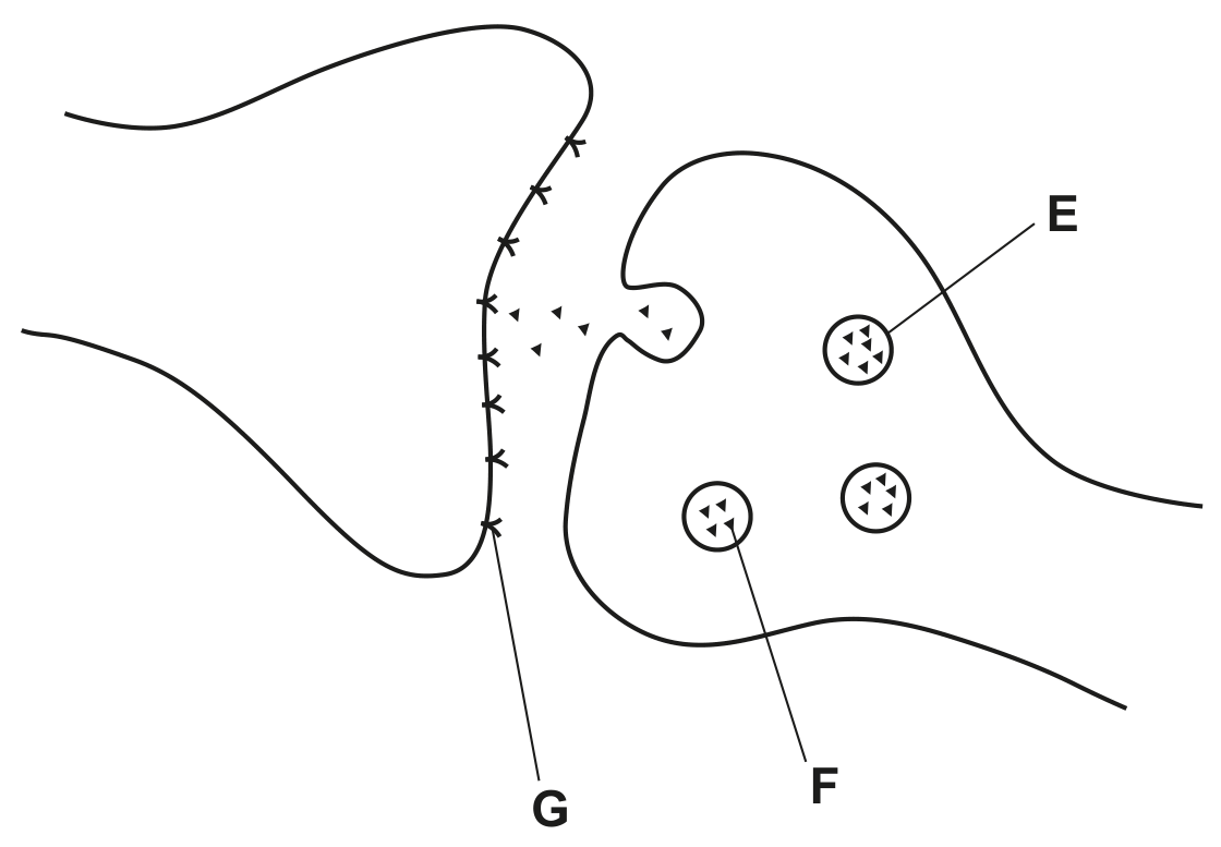Fig. 4.1