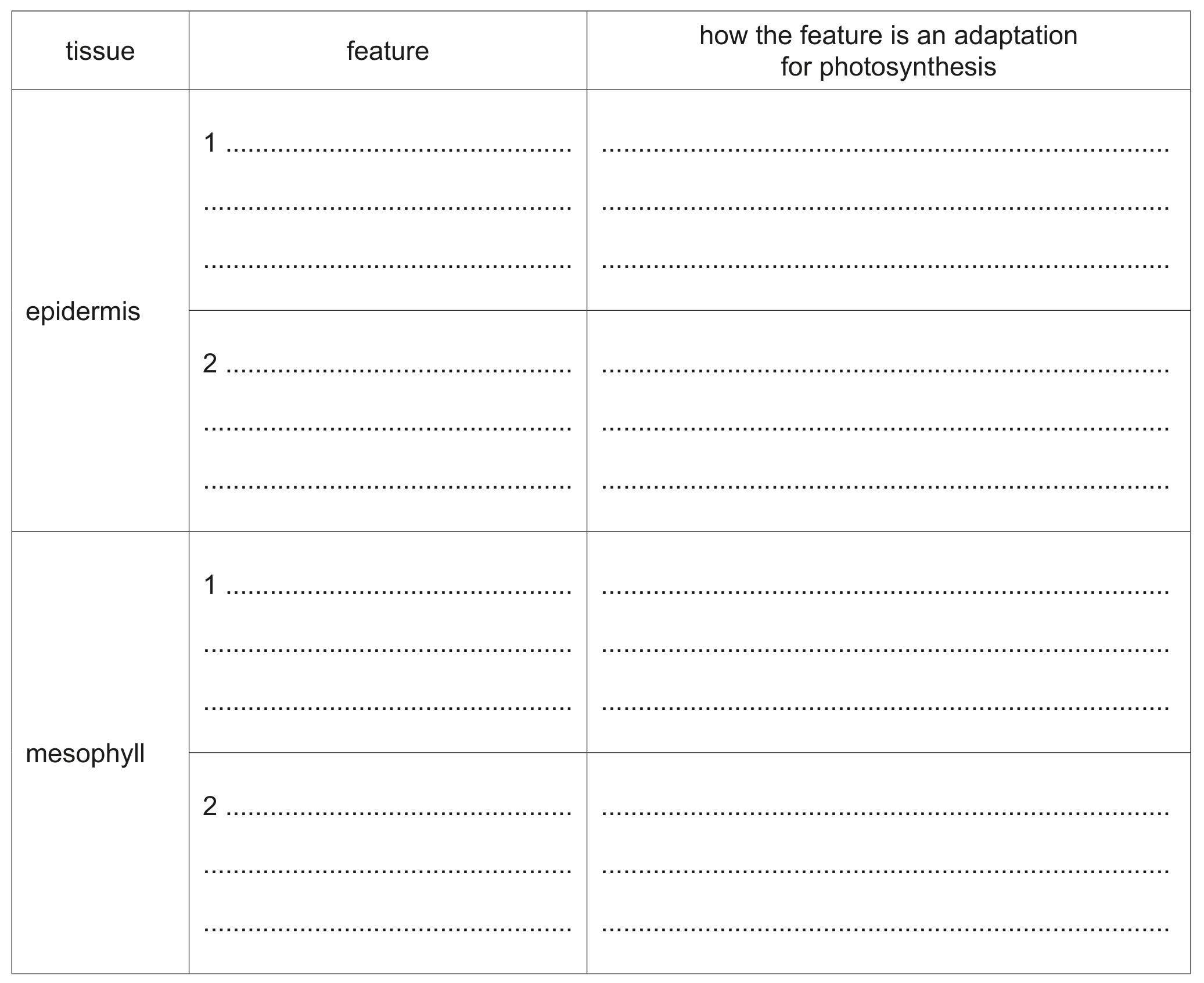 Table 2.1