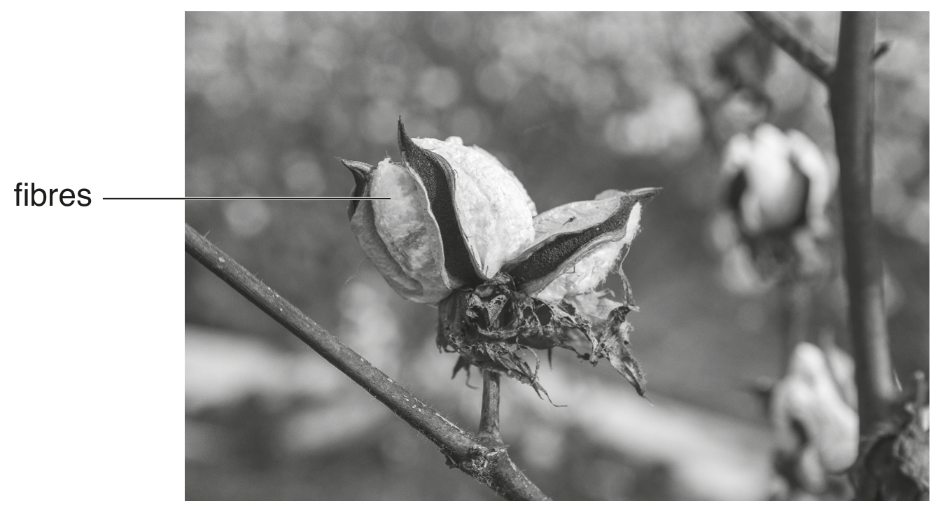 Fig. 3.1
